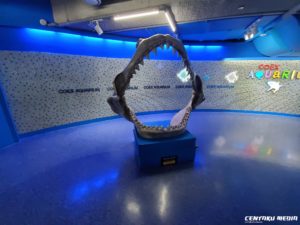 Read more about the article The Seoul Searching Chronicles: COEX Aquarium