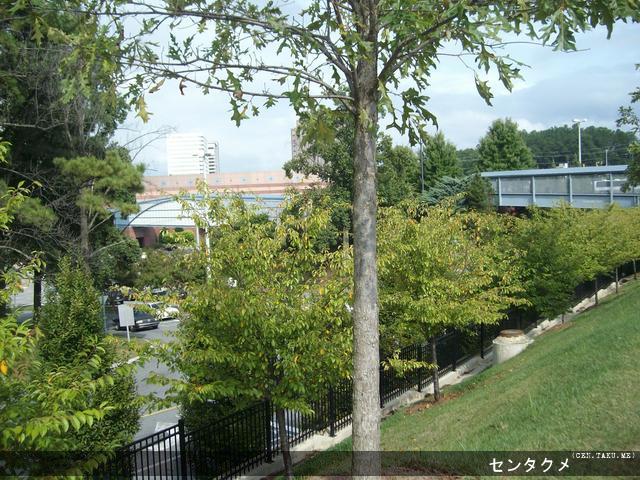 A scenic view outside of the crosswalk at the Cobb Galleria Centre at Anime Weekend Atlanta.